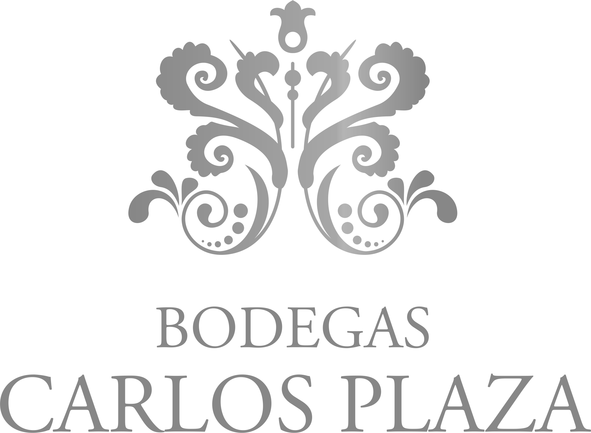 Carlos Plaza